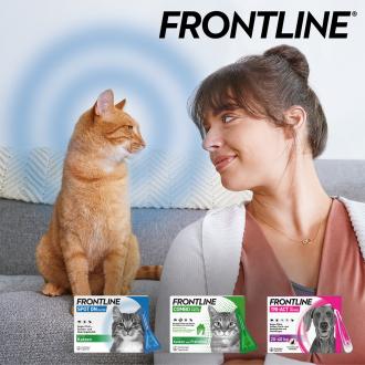 Frontline POS Aktion 2023